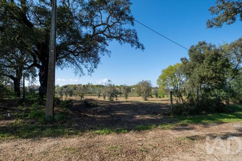 Terra a Santa Comba Dao, Viseu, Santa Comba Dao - € 10.000 | Ref: 861867 - foto 3