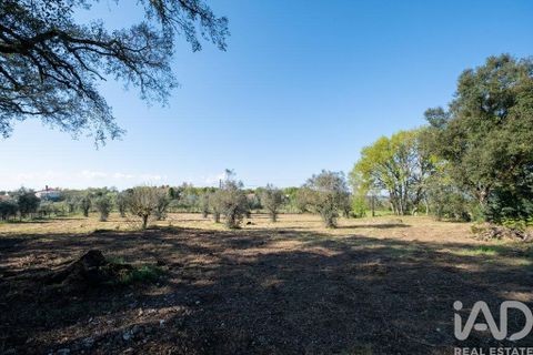 Terra a Santa Comba Dao, Viseu, Santa Comba Dao - € 10.000 | Ref: 861867 - foto 5