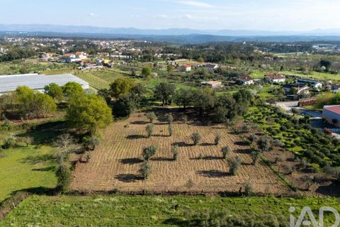 Terra a Santa Comba Dao, Viseu, Santa Comba Dao - € 10.000 | Ref: 861867 - foto 8