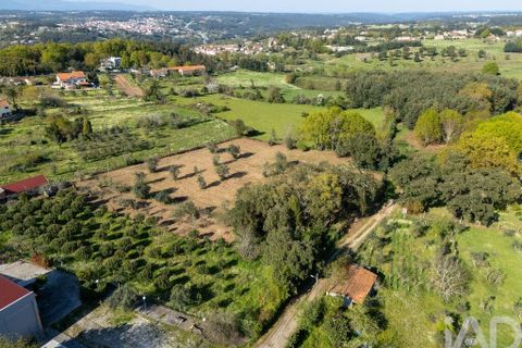 Terra a Santa Comba Dao, Viseu, Santa Comba Dao - € 10.000 | Ref: 861867 - foto 9