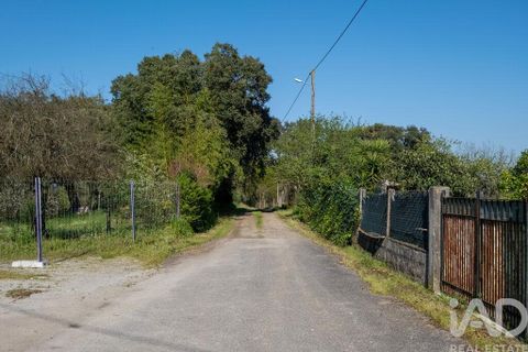 Terra a Santa Comba Dao, Viseu, Santa Comba Dao - € 10.000 | Ref: 861867 - foto 10