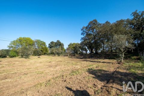 Terra a Santa Comba Dao, Viseu, Santa Comba Dao - € 10.000 | Ref: 861867 - foto 11