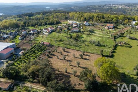 Terra a Santa Comba Dao, Viseu, Santa Comba Dao - € 10.000 | Ref: 861867 - foto 14