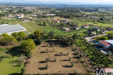 Terra a Santa Comba Dao, Viseu, Santa Comba Dao - € 10.000 | Ref: 861867 - foto 15