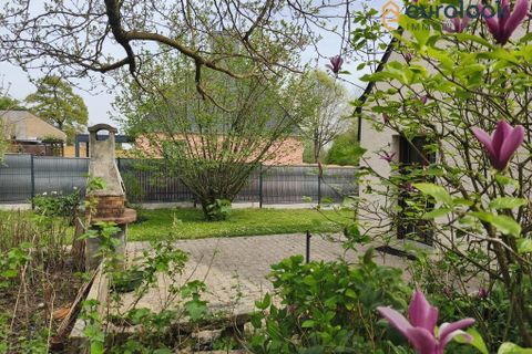 Villa a Bohal, Morbihan, Bohal - € 252.000 | Ref: 3470-EUROLOOK56 - foto 3