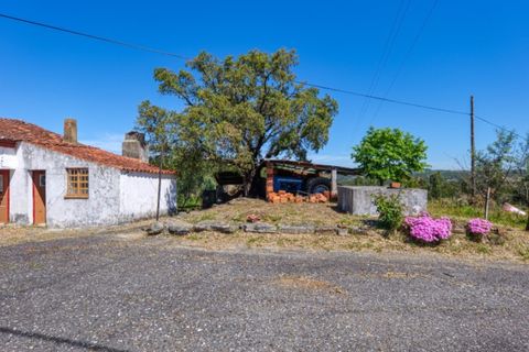 Villa i Macao, Santarem, Macao - € 95.000 | Ref: CAS_396 - foto 2