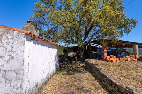 Villa i Macao, Santarem, Macao - € 95.000 | Ref: CAS_396 - foto 3