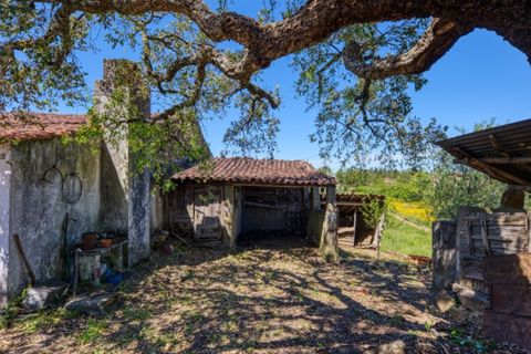 Villa i Macao, Santarem, Macao - € 95.000 | Ref: CAS_396 - foto 4