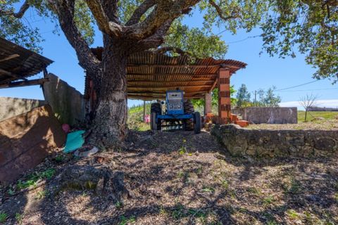 Villa i Macao, Santarem, Macao - € 95.000 | Ref: CAS_396 - foto 6