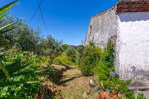 Villa i Macao, Santarem, Macao - € 95.000 | Ref: CAS_396 - foto 7