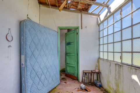 Villa i Macao, Santarem, Macao - € 95.000 | Ref: CAS_396 - foto 19