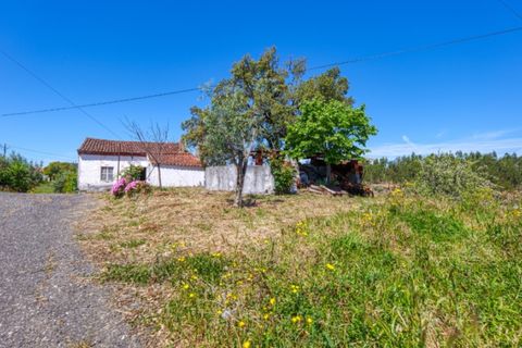 Villa i Macao, Santarem, Macao - € 95.000 | Ref: CAS_396 - foto 28