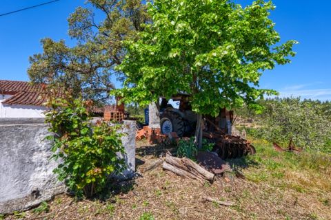 Villa i Macao, Santarem, Macao - € 95.000 | Ref: CAS_396 - foto 30