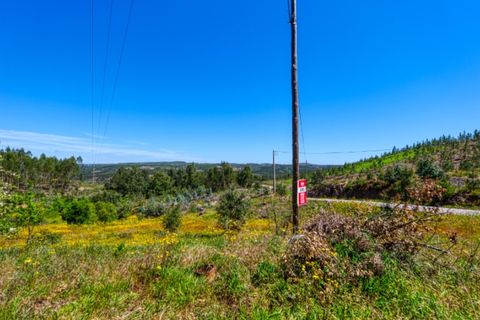 Villa i Macao, Santarem, Macao - € 95.000 | Ref: CAS_396 - foto 31