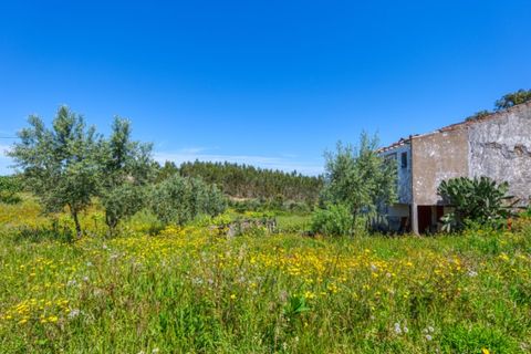 Villa i Macao, Santarem, Macao - € 95.000 | Ref: CAS_396 - foto 32