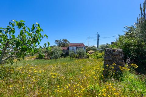 Villa i Macao, Santarem, Macao - € 95.000 | Ref: CAS_396 - foto 35