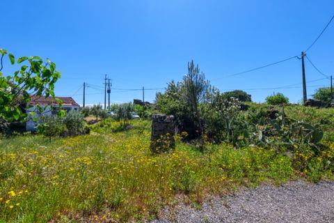Villa i Macao, Santarem, Macao - € 95.000 | Ref: CAS_396 - foto 36