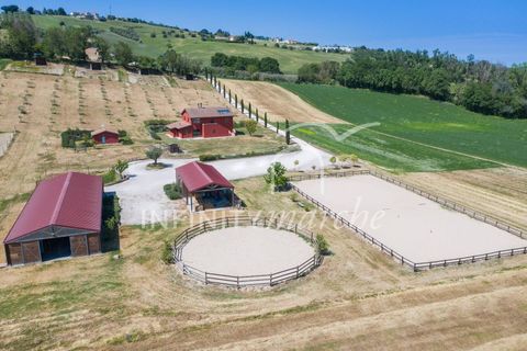 Landejendom i Montegranaro, Fermo, Montegranaro - € 1.330.000 | Ref: 265 - foto 8