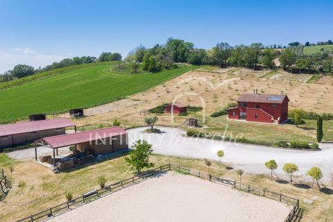 Landejendom i Montegranaro, Fermo, Montegranaro - € 1.330.000 | Ref: 265 - foto 9