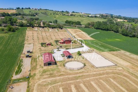 Landejendom i Montegranaro, Fermo, Montegranaro - € 1.330.000 | Ref: 265 - foto 10