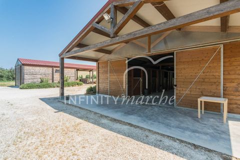 Landejendom i Montegranaro, Fermo, Montegranaro - € 1.330.000 | Ref: 265 - foto 42