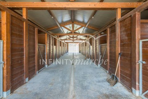 Landejendom i Montegranaro, Fermo, Montegranaro - € 1.330.000 | Ref: 265 - foto 43