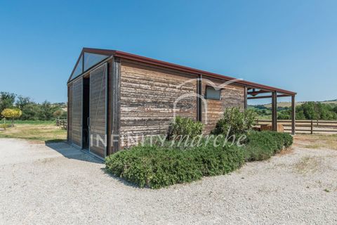 Landejendom i Montegranaro, Fermo, Montegranaro - € 1.330.000 | Ref: 265 - foto 44