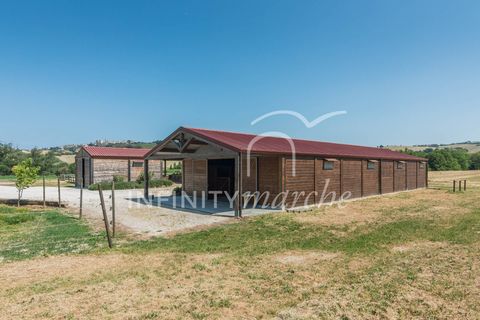 Landejendom i Montegranaro, Fermo, Montegranaro - € 1.330.000 | Ref: 265 - foto 46