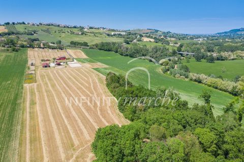 Landejendom i Montegranaro, Fermo, Montegranaro - € 1.330.000 | Ref: 265 - foto 49