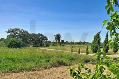 Villa i Palmela, Setubal, Palmela - € 925.000 | Ref: KWPT-020628 - foto 29