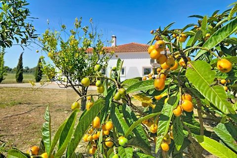 Villa i Palmela, Setubal, Palmela - € 925.000 | Ref: KWPT-020628 - foto 3