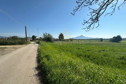 Tomt i Capua, Caserta, Capua - € 35 000 | Ref: 35TERRENO - foto 2