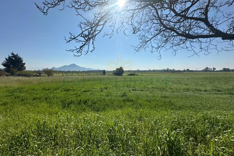 Tomt i Capua, Caserta, Capua - € 35 000 | Ref: 35TERRENO - foto 3