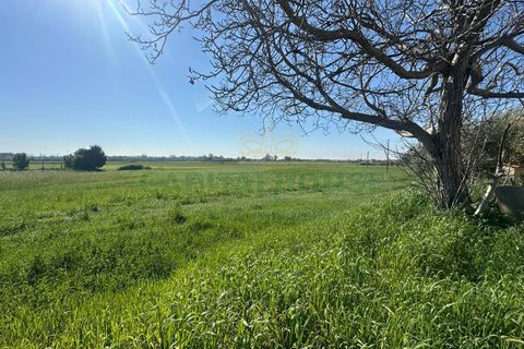 Tomt i Capua, Caserta, Capua - € 35 000 | Ref: 35TERRENO - foto 4