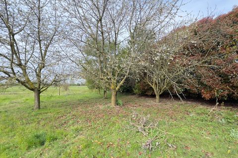 Helårsgrund i Cambiago, Milan, Cambiago - € 20.860 | Ref: 2486 - foto 10