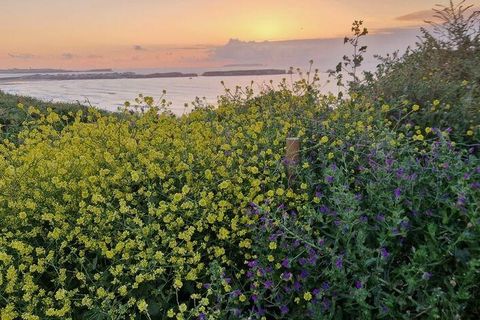 Terra a Peniche, Leiria, Peniche - € 250.000 | Ref: 861010 - foto 9