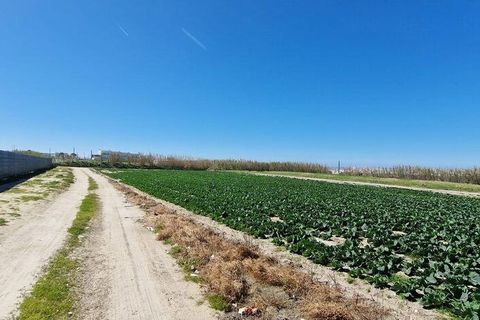 Terra a Peniche, Leiria, Peniche - € 250.000 | Ref: 861010 - foto 13