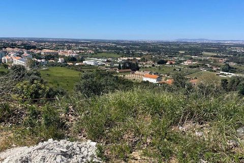 Terra a Palmela, Setubal, Palmela - € 400.000 | Ref: 860424 - foto 5