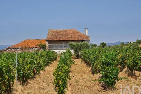 Gård i Vila Flor, Braganca, Vila Flor - € 540 000 | Ref: 858452 - foto 2