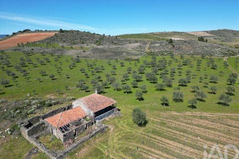Gård i Vila Flor, Braganca, Vila Flor - € 540 000 | Ref: 858452 - foto 4