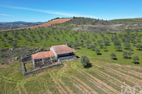 Gård i Vila Flor, Braganca, Vila Flor - € 540 000 | Ref: 858452 - foto 5