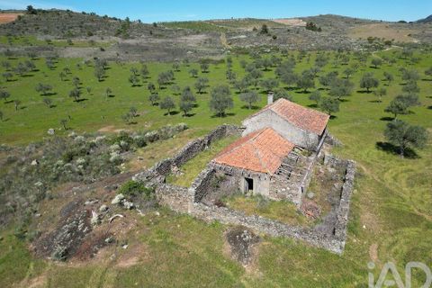 Gård i Vila Flor, Braganca, Vila Flor - € 540 000 | Ref: 858452 - foto 10
