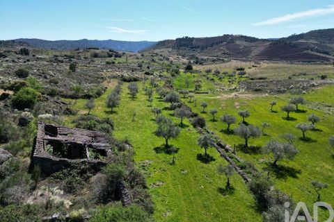 Gård i Vila Flor, Braganca, Vila Flor - € 540 000 | Ref: 858452 - foto 11