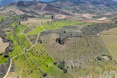 Gård i Vila Flor, Braganca, Vila Flor - € 540 000 | Ref: 858452 - foto 17