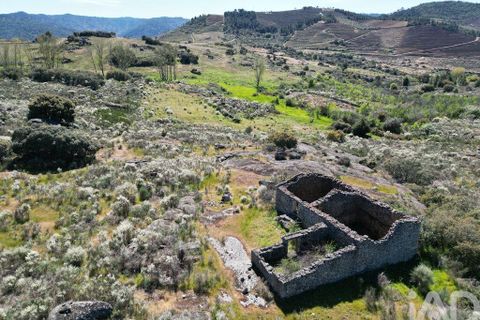 Gård i Vila Flor, Braganca, Vila Flor - € 540 000 | Ref: 858452 - foto 20