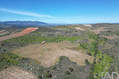 Gård i Vila Flor, Braganca, Vila Flor - € 540 000 | Ref: 858452 - foto 21
