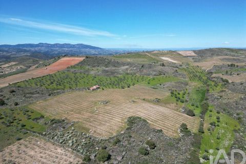 Gård i Vila Flor, Braganca, Vila Flor - € 540 000 | Ref: 858452 - foto 22