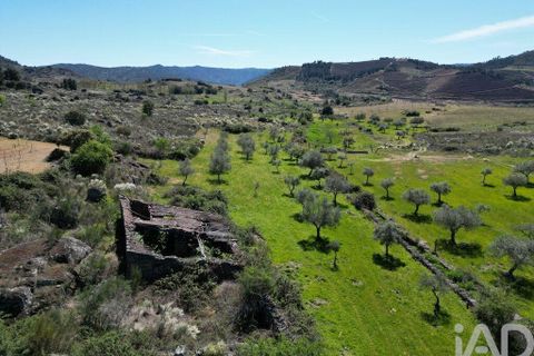 Gård i Vila Flor, Braganca, Vila Flor - € 540 000 | Ref: 858452 - foto 24