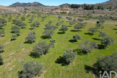 Gård i Vila Flor, Braganca, Vila Flor - € 540 000 | Ref: 858452 - foto 25