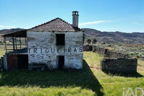 Gård i Vila Flor, Braganca, Vila Flor - € 540 000 | Ref: 858452 - foto 27